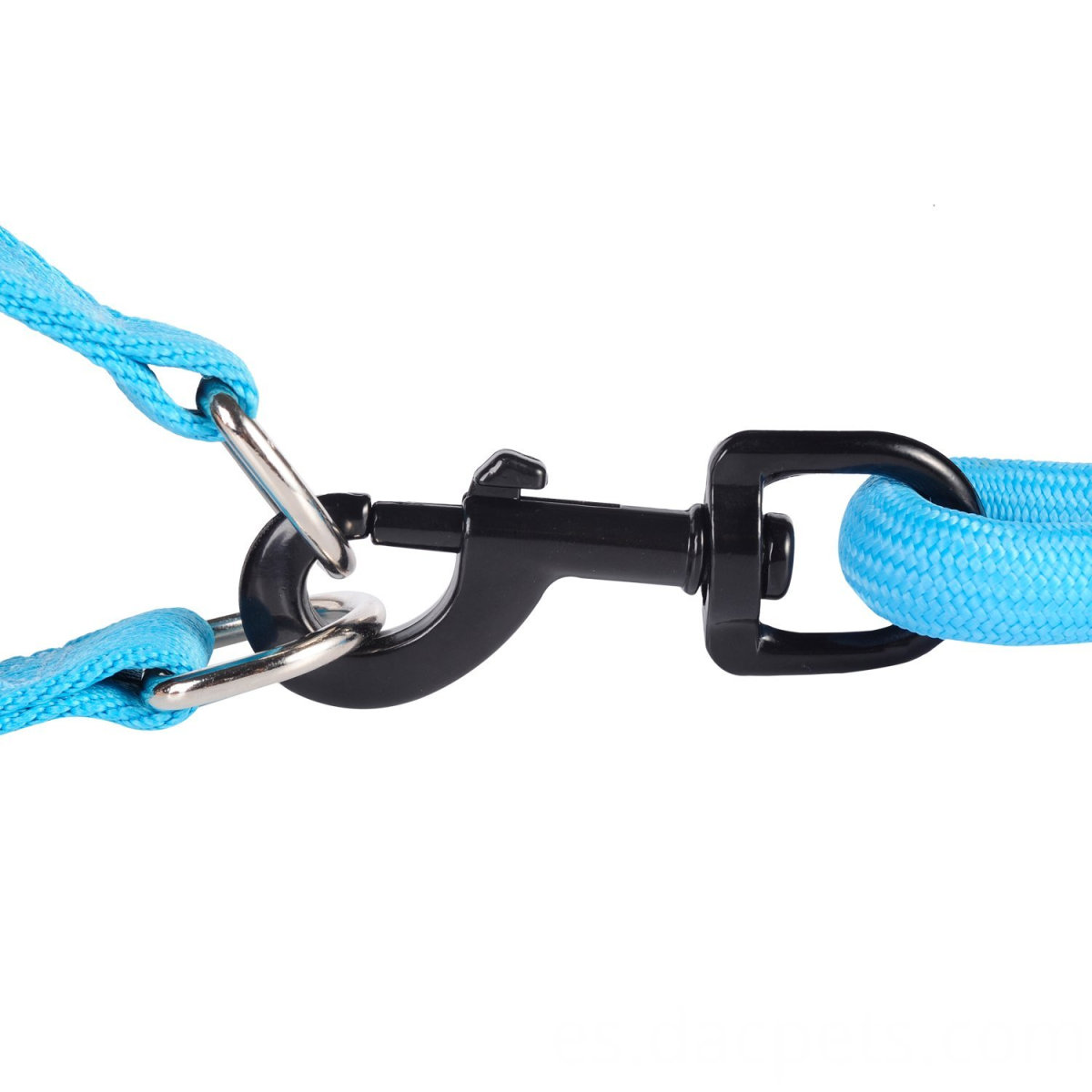Correa de perro Foam Handle con arnés Foam Handle dog Leash with Harness